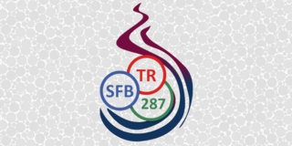 Logo des Sonderforschungsbereichs 287